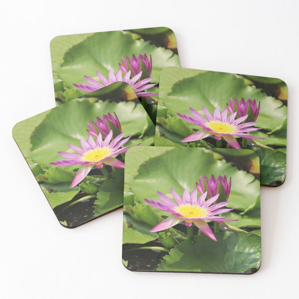 Item preview, Water Lily in Pond. designed and sold by VgBingi.