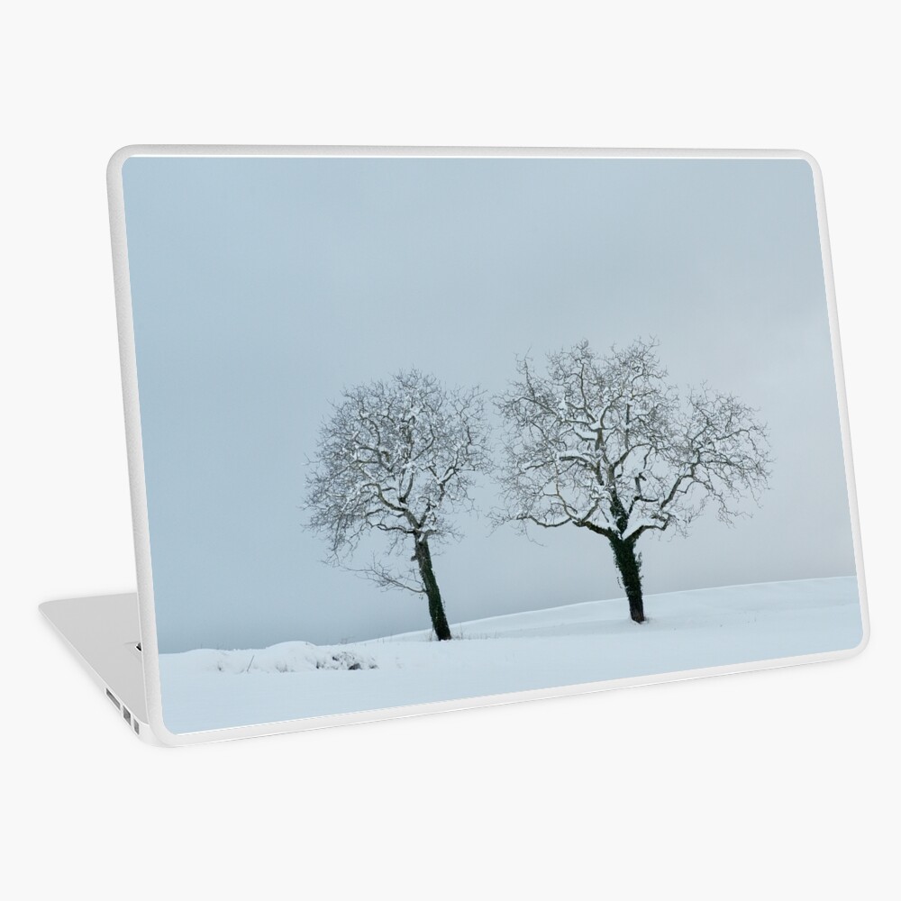 Item preview, Laptop Skin designed and sold by patmo.