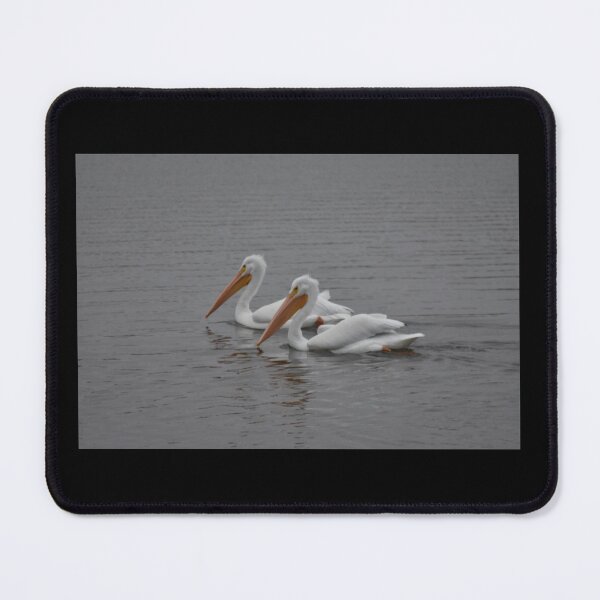 Item preview, Pelicans  designed and sold by MarieDarcy97.