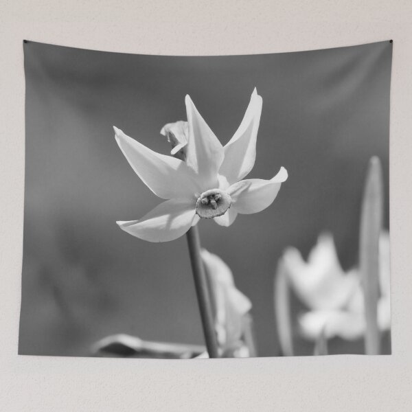 Item preview, Grandalla designed and sold by joan manel zamora.