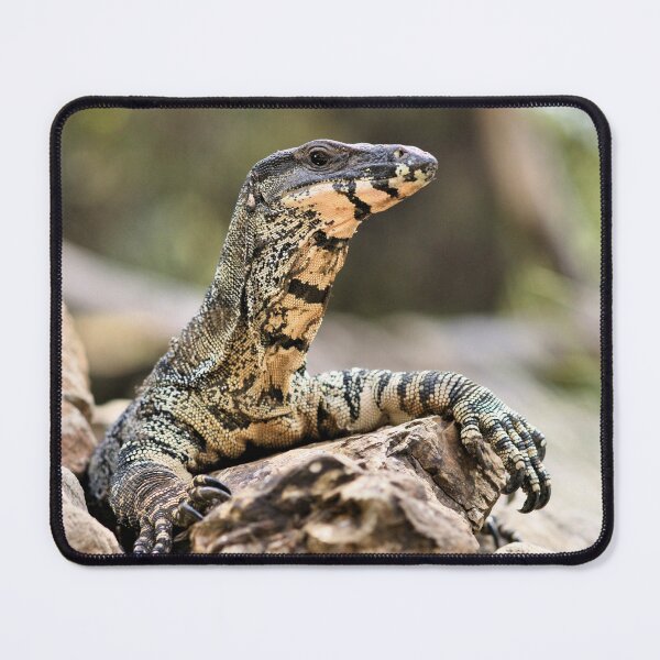Item preview, Lace Monitor designed and sold by rogersmith.