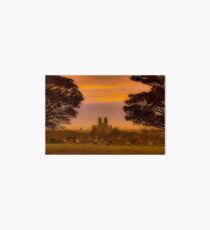 beverley minster Art Board