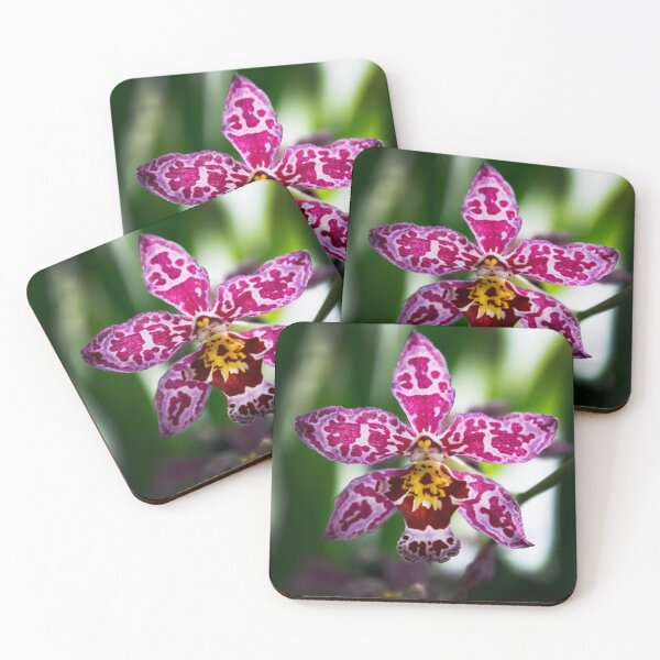 Item preview, Exotic Wilsonara Kolibri Orchid designed and sold by nastiaart.