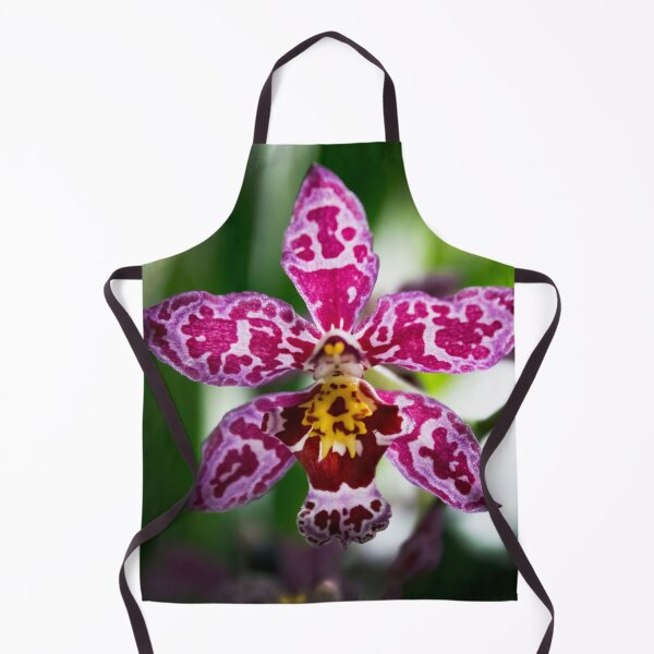 Item preview, Exotic Wilsonara Kolibri Orchid designed and sold by nastiaart.
