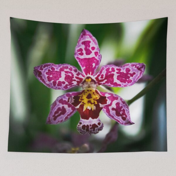 Item preview, Exotic Wilsonara Kolibri Orchid designed and sold by nastiaart.