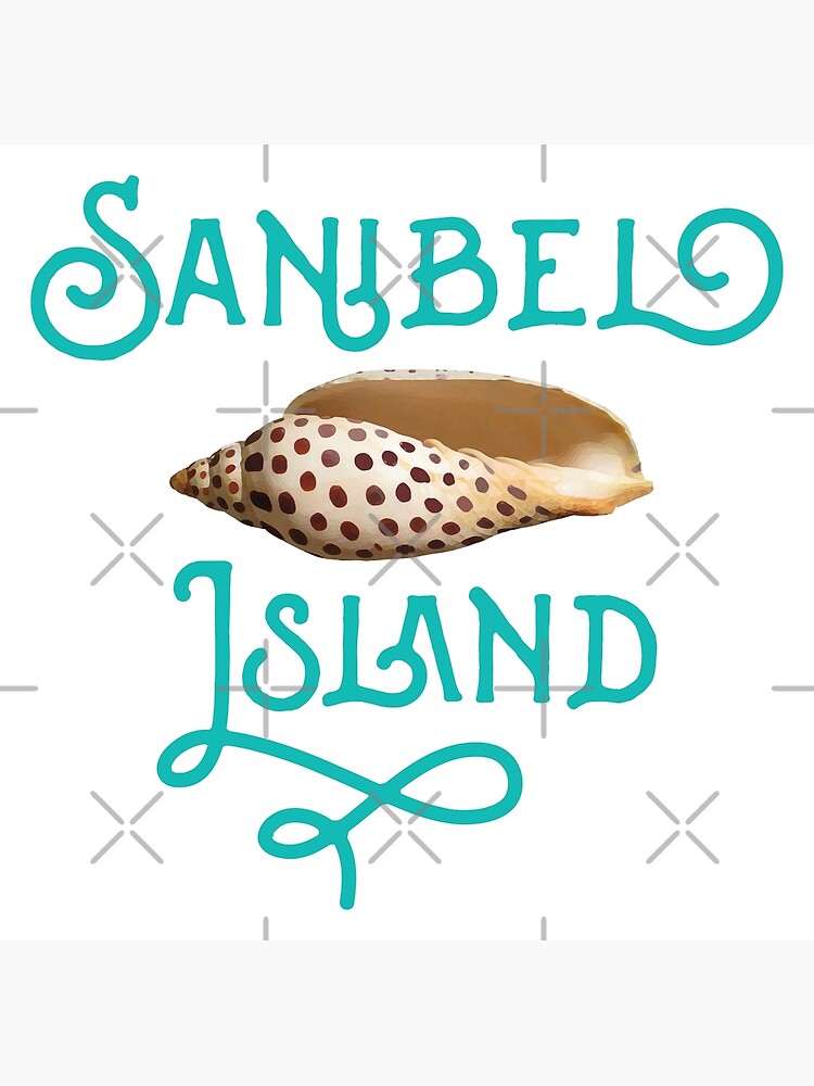 Sanibel, Captiva Island Florida Shell Identification Guide