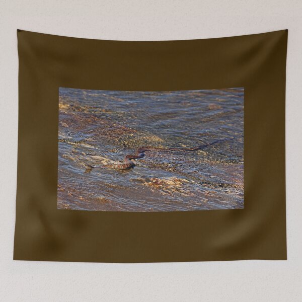 Item preview, Northern Water Snake designed and sold by Debbie Oppermann.