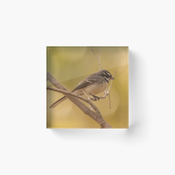 Item preview, Grey Fantail designed and sold by SusanAdey.
