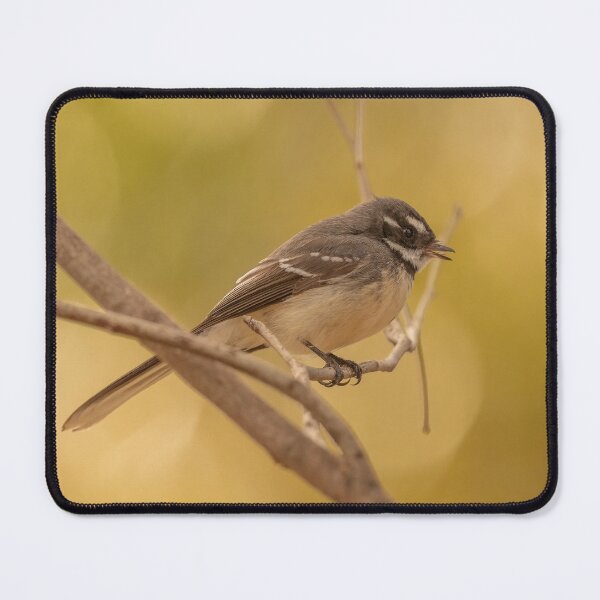 Item preview, Grey Fantail designed and sold by SusanAdey.