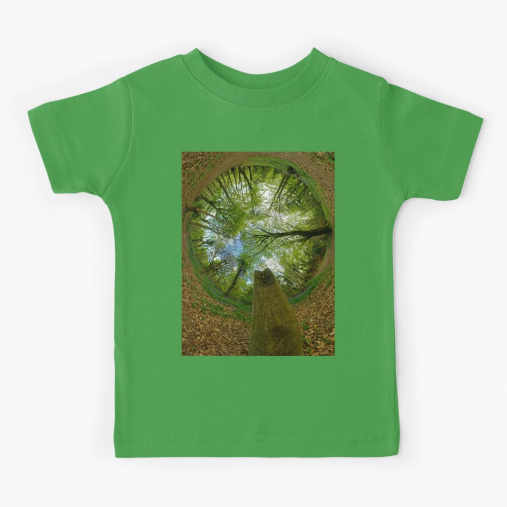 Butterfly Sculpture in Prehen Woods, Derry (Sky-in) Kids T-Shirt