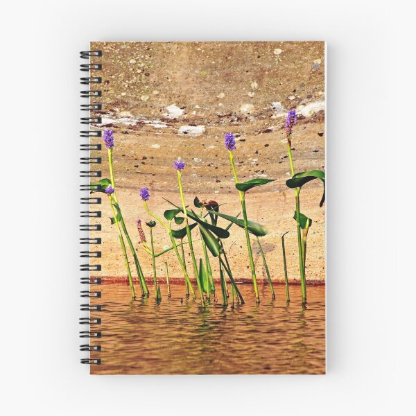 Item preview, Showcasing Pickerel Weed designed and sold by Debbie Oppermann.