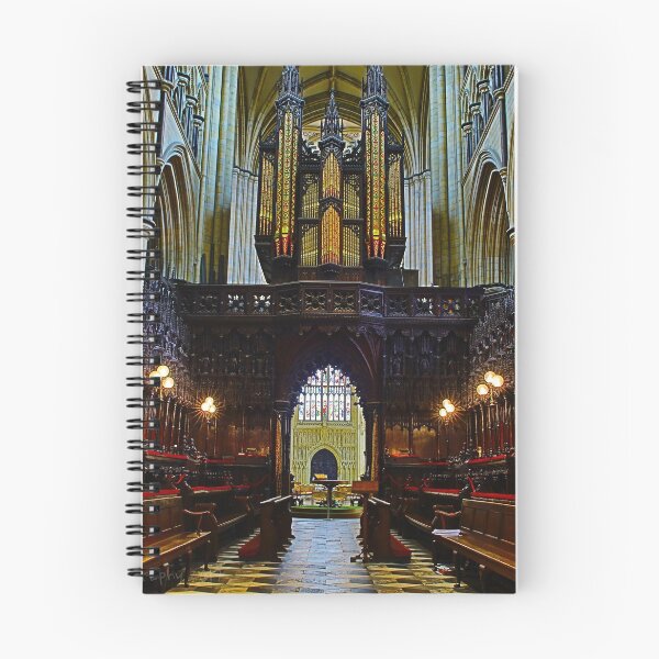 Item preview, beverley minster designed and sold by nickhedges.