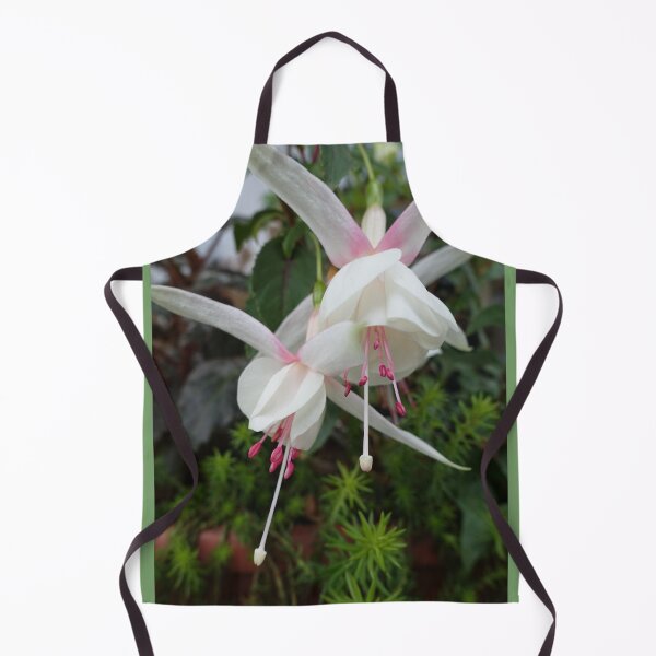 Item preview, Beautiful white and pink fuchsias flowers picture designed and sold by naturematters.