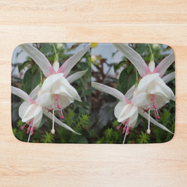 Item preview, Beautiful white and pink fuchsias flowers picture designed and sold by naturematters.