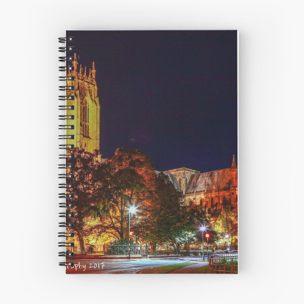 Item preview, beverley minster designed and sold by nickhedges.