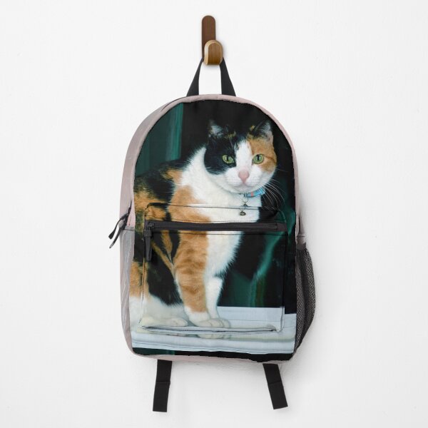 Item preview, Cat Sitting On Window designed and sold by Savannah Gibbs.