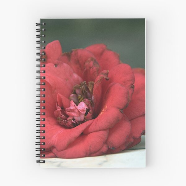 Item preview, Fallen Flower, Camellia, Ashburnham Place, Sussex. designed and sold by Billlee.