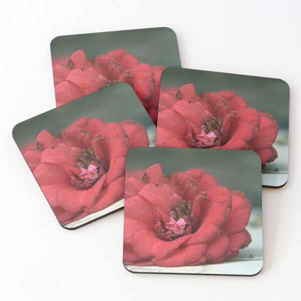 Item preview, Fallen Flower, Camellia, Ashburnham Place, Sussex. designed and sold by Billlee.