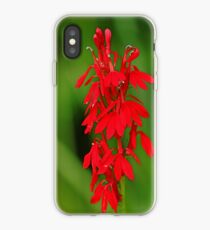 Scarlet Lobelia iPhone Case