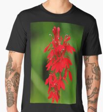 Scarlet Lobelia Men's Premium T-Shirt