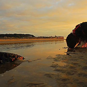 Artwork thumbnail, Setting Sun catches Rocks by Billlee