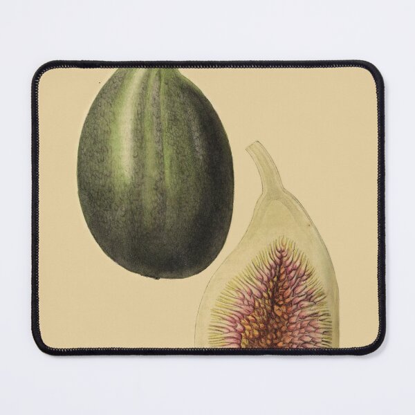 Item preview, Large Super Fine Fig From Saussaye designed and sold by ptMaker.