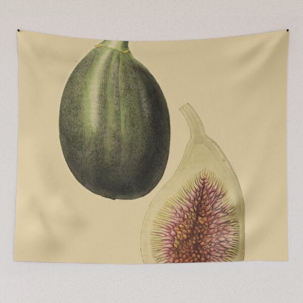 Item preview, Large Super Fine Fig From Saussaye designed and sold by ptMaker.