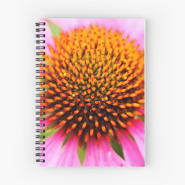 Item preview, Hedgehog Coneflower designed and sold by Debbie Oppermann.