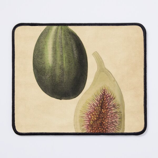 Item preview, Large Superfine Fig from Saussaye With Details designed and sold by ptMaker.