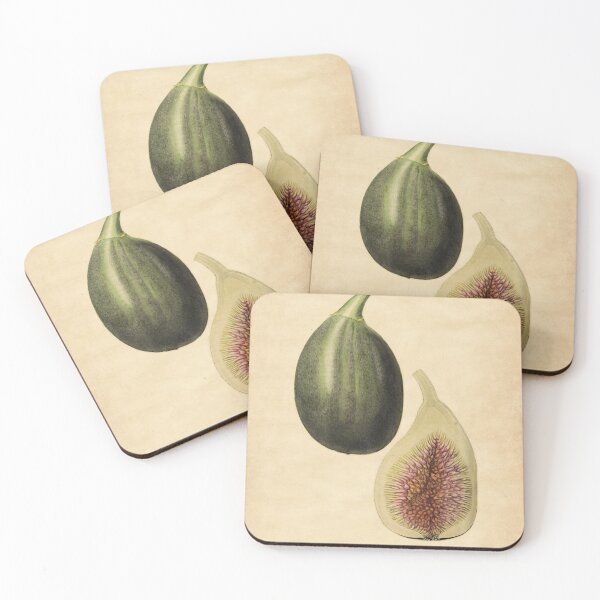 Item preview, Large Superfine Fig from Saussaye With Details designed and sold by ptMaker.