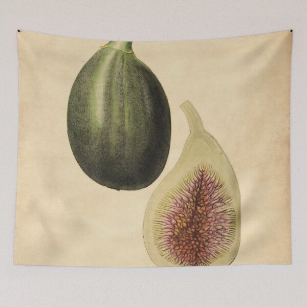 Item preview, Large Superfine Fig from Saussaye With Details designed and sold by ptMaker.
