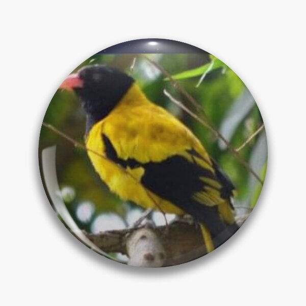 Item preview, Suvash barman,হলদে পাখি , t-shirts, gifts, bird,birds designed and sold by suvashbarman.
