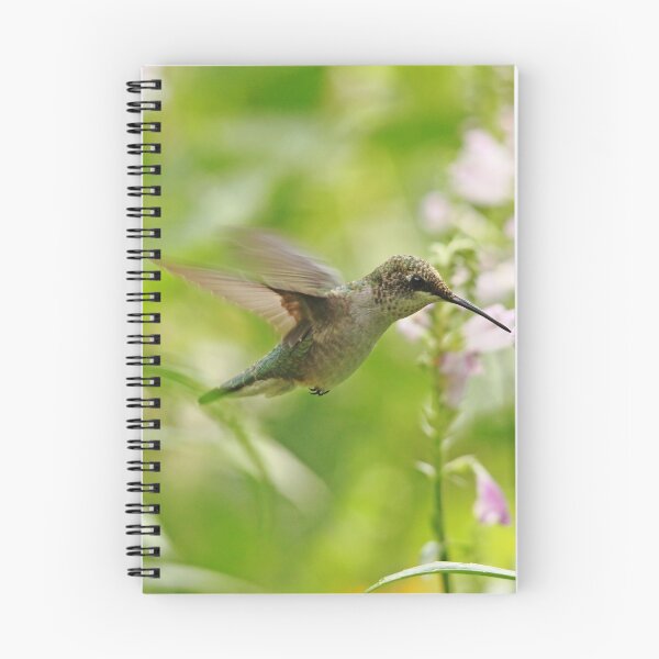 Item preview, Hummer And Obedient Plant designed and sold by Debbie Oppermann.