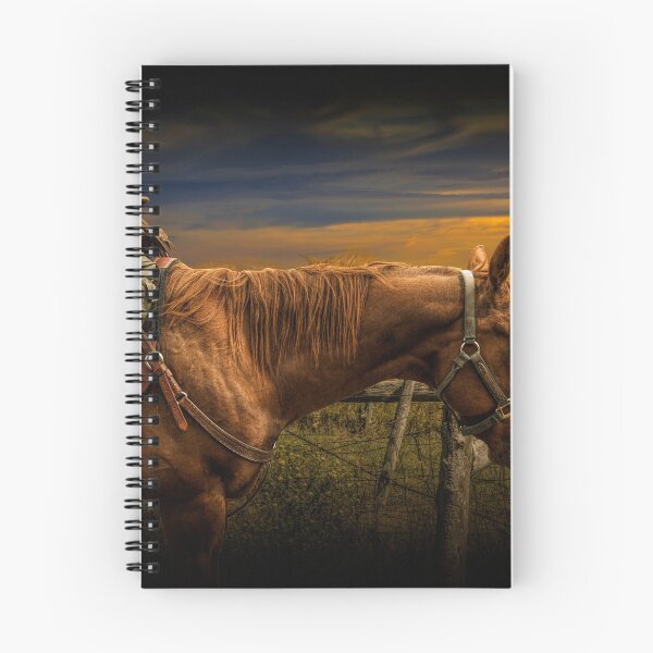 Item preview, Saddle Horse on the Prairie designed and sold by Randall Nyhof.