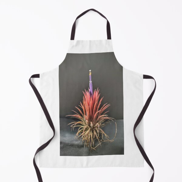 Item preview, Tillandsia in bloom designed and sold by Deathplant.