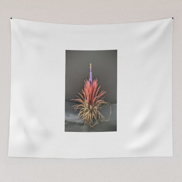 Item preview, Tillandsia in bloom designed and sold by Deathplant.