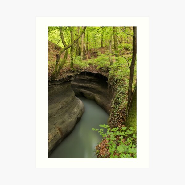 Parnant river through the springtime forest Art Print