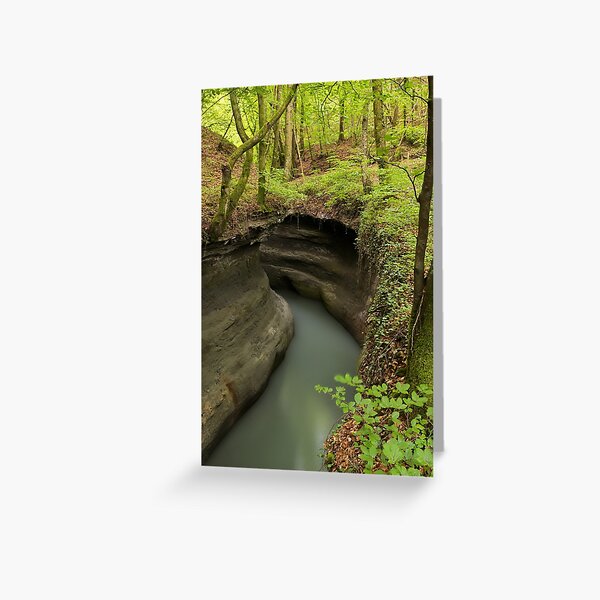 Parnant river through the springtime forest Greeting Card