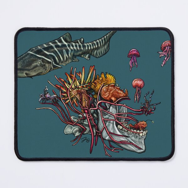 Item preview, Trigeminal Nerve & Frogfish designed and sold by FreyStrandDraws.