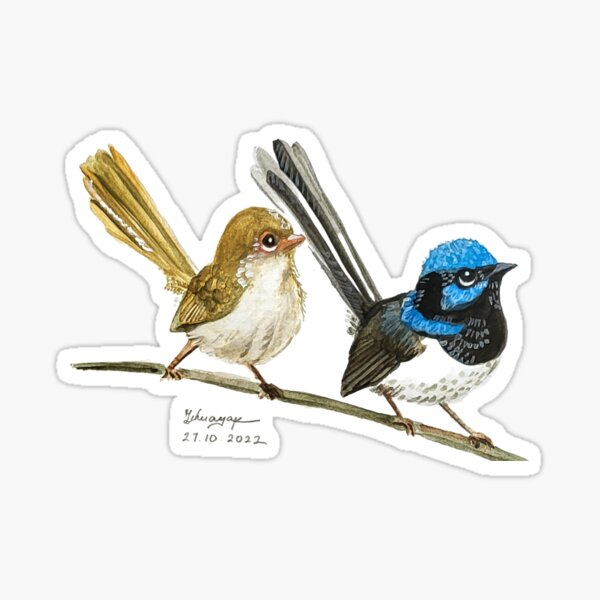 Item preview, Superb Fairy Wrens designed and sold by celineartstudio.