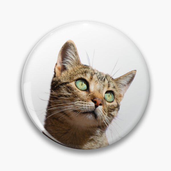 Item preview, Visafrica Mug Drop-dead gorgeous green-eyed cat designed and sold by VISAFRICA.