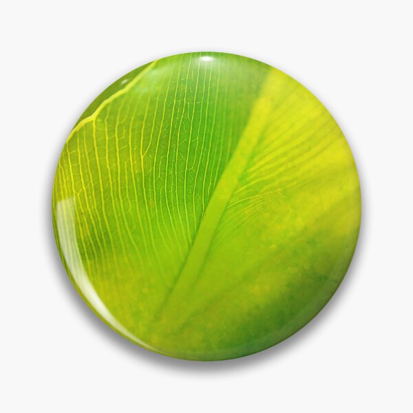 Item preview, Swiss Cheese Plant Storm Outside designed and sold by Joy Watson - Natural Light Photography .