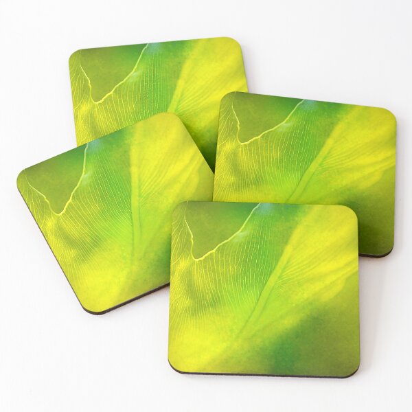 Item preview, Swiss Cheese Plant Storm Outside designed and sold by Joy Watson - Natural Light Photography .