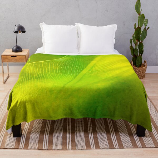 Item preview, Swiss Cheese Plant Storm Outside designed and sold by Joy Watson - Natural Light Photography .