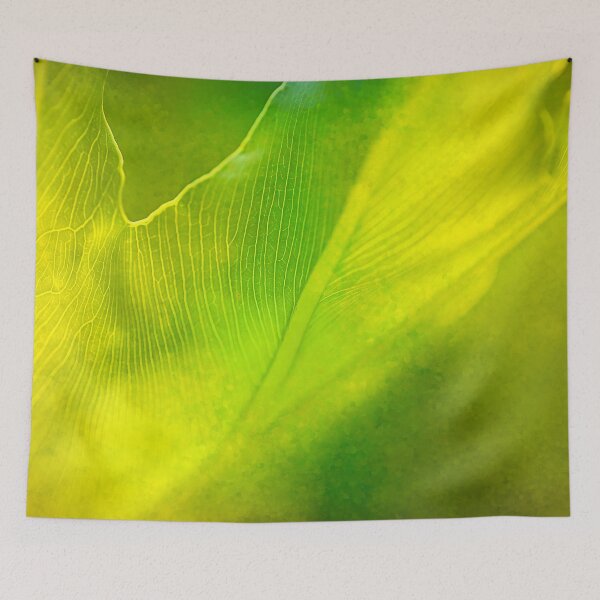 Item preview, Swiss Cheese Plant Storm Outside designed and sold by Joy Watson - Natural Light Photography .