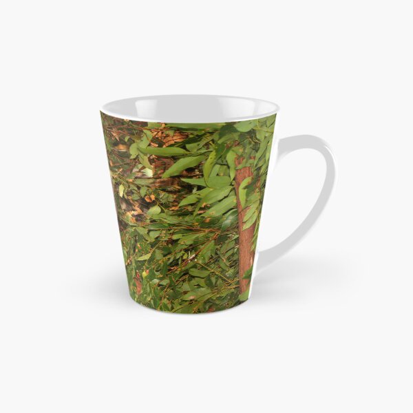 Item preview, Young koala among the gumleaves, Australia  designed and sold by FranWest.