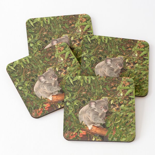 Item preview, Young koala among the gumleaves, Australia  designed and sold by FranWest.