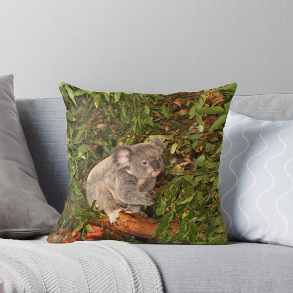 Item preview, Young koala among the gumleaves, Australia  designed and sold by FranWest.