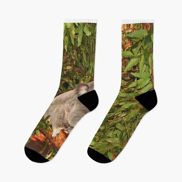 Item preview, Young koala among the gumleaves, Australia  designed and sold by FranWest.