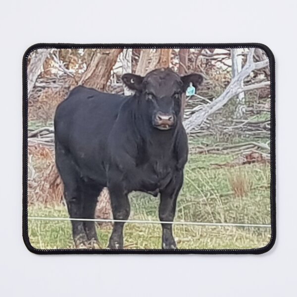 Item preview, Boris the crossed eyed Bull designed and sold by trejcon.